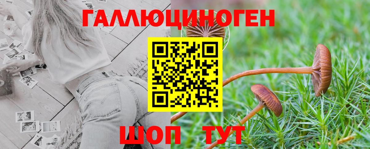 Галлюциногенные грибы прущие грибы Чехов